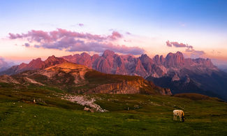 Dolomiti
