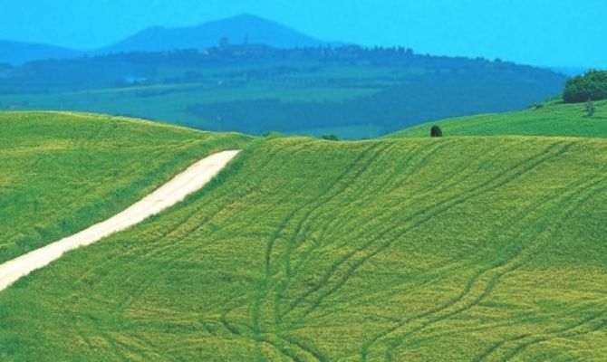 Siena colline