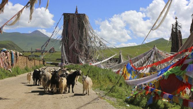 Trekking in Nepal