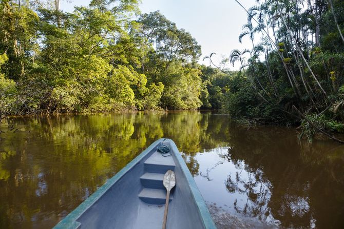 Natura: Amazzonia