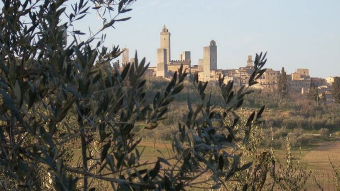 Olio Chianti Classico DOP