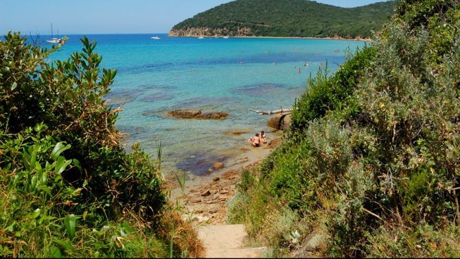 Cala Violina Toscana