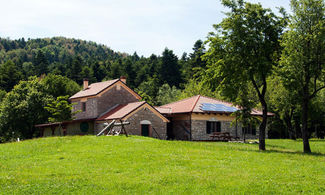 Il Parco dell'Abete Bianco a Pescopennataro, Molise