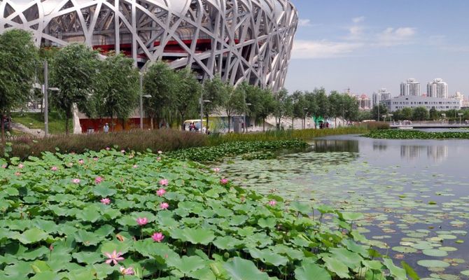 Bird's Nest Stadium, Pechino