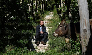 La cantina Alois Lageder, il bio in Alto Adige