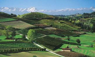 langhe rosa mosqueta foto