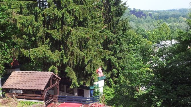 Valkenburg Foresta Incantata