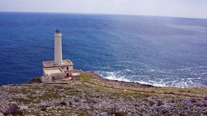 Giunco del Salento foto