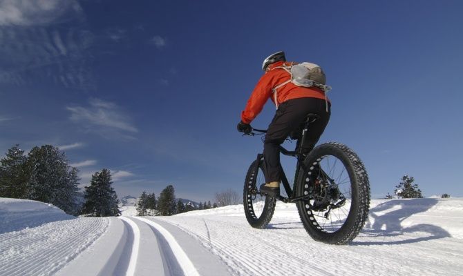 Fat Bike