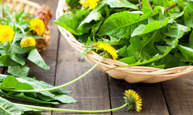 tarassaco, fiori, erba, dente di leone, natura, piante, insalata