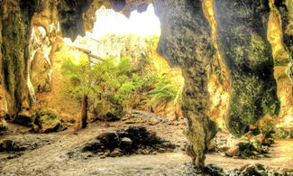 Naracoorte Caves: il sito Unesco compie 20 anni
