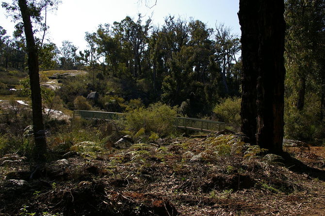 Bibbulmun Track