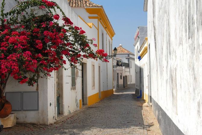 6 Faro