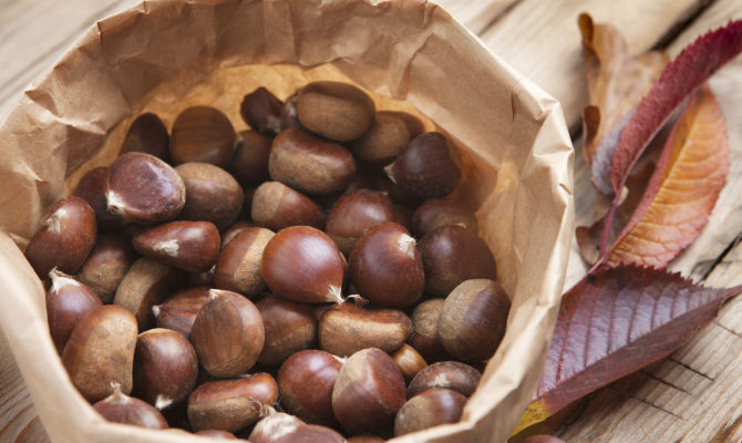 castagne sacchetto foglie marroni autunno<br>