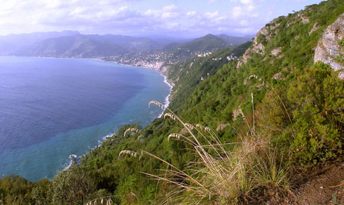 golfo paradiso portofino sentiero tubi camogli mare natura