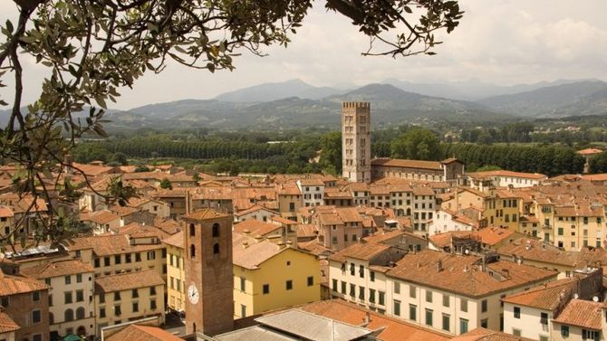 Lavorazione artiginale dei cesti di Buti foto