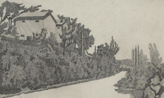 La Strada Bianca