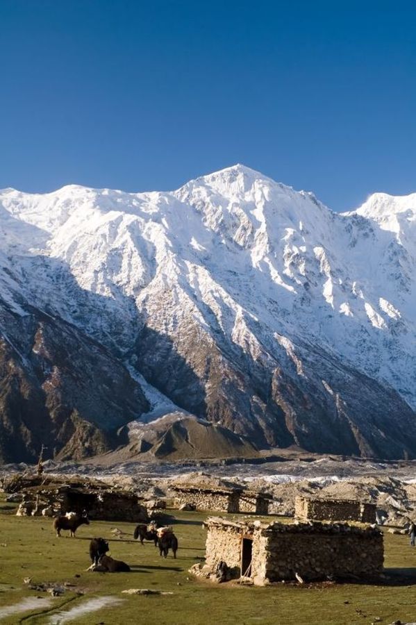 Pakistan