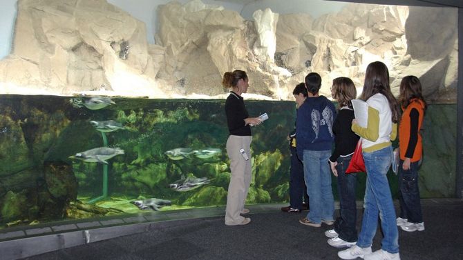campus estivo acquario di genova
