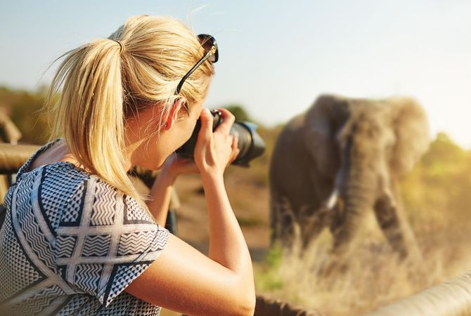 Il safari in Africa