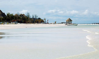 Holbox, l'isola dei fenicotteri rosa nello Yucatan