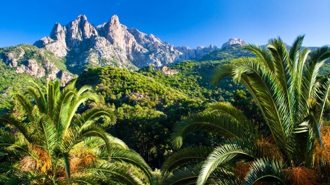 Corsica vegetazione entroterra