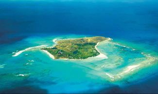 Isole Vergini: il ritorno dell'ibis rosso
