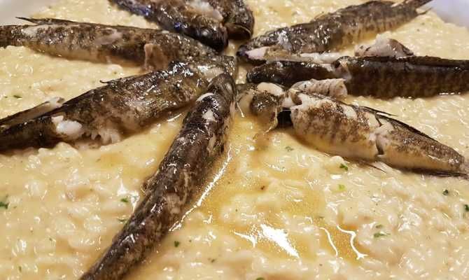 Risotto di Gò, ricetta, Venezia