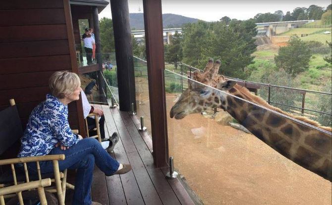 Jamala Wildlife Lodge