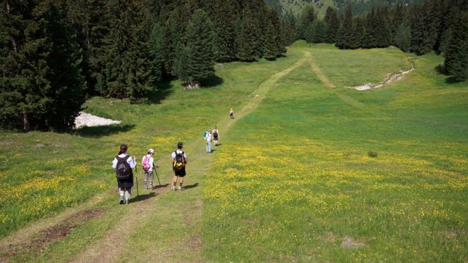 Percorso di trekking