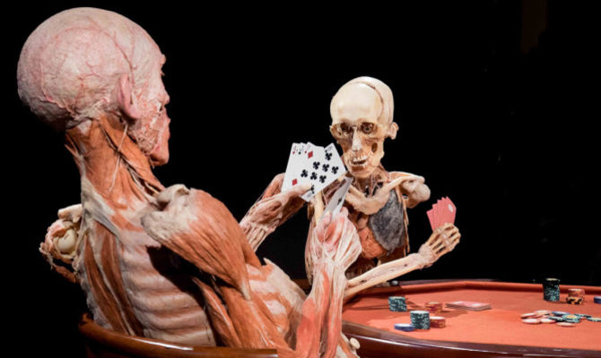 Body Worlds<br>