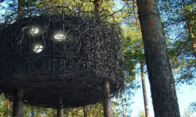 Albergo sugli alberi