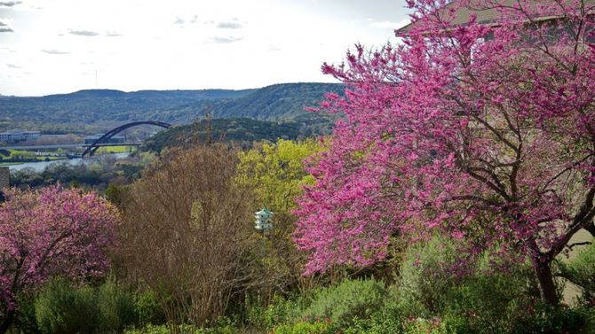 texas hill country