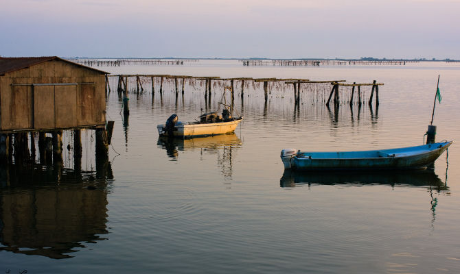 Foce Delta del Po - Veneto