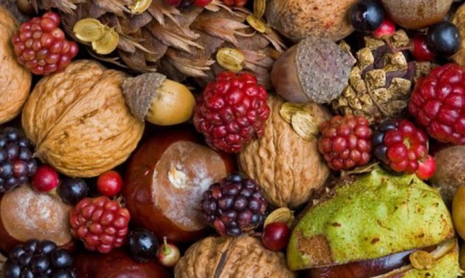 Frutti autunnali