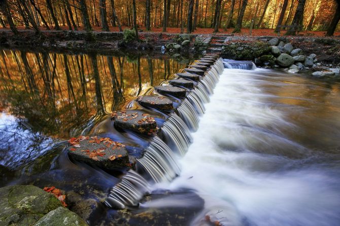 Tollymore Forest Park