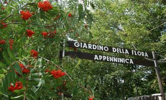 Molise: le mille bellezze del Giardino della Flora Appenninica