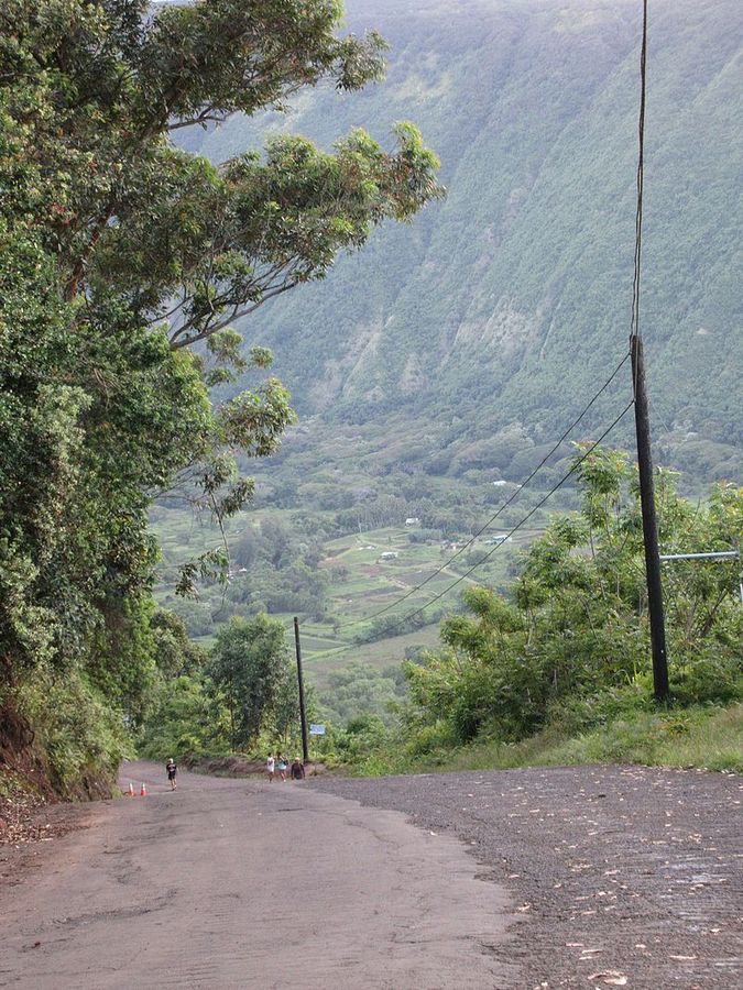 Waipio Valley Road