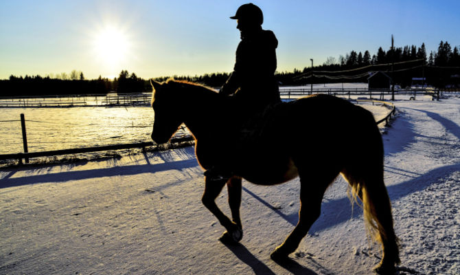 equitazione, cavallo, cavaliere, inverno, neve
