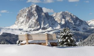 Dolomiti