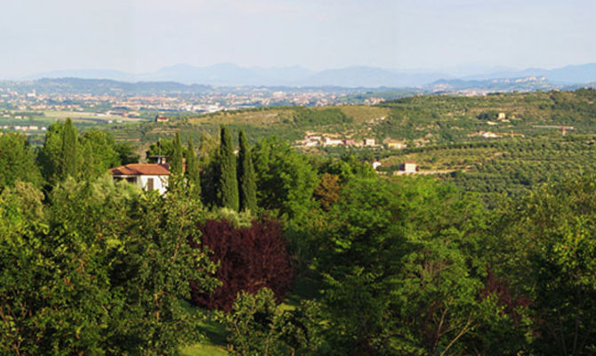 Colline di Verona