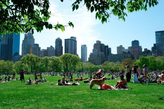 New York - Central Park