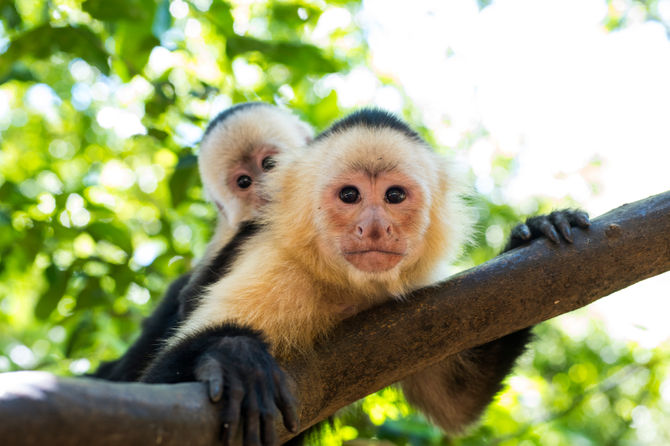 Costa Rica