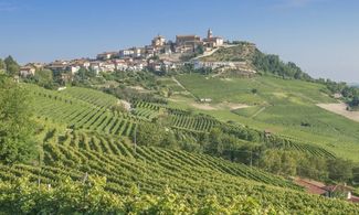 Langhe: 4 km di gusto con la Mangialonga 2015