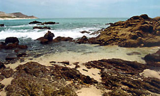 Pesca d'altura in Baja California