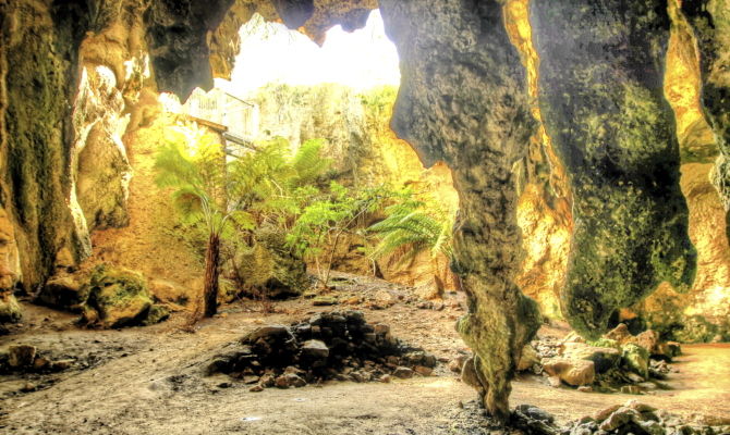 Naracoorte Caves