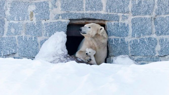 Zoo di Rovaniemi