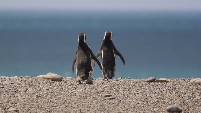 Argentina i luoghi da visitare a marzo