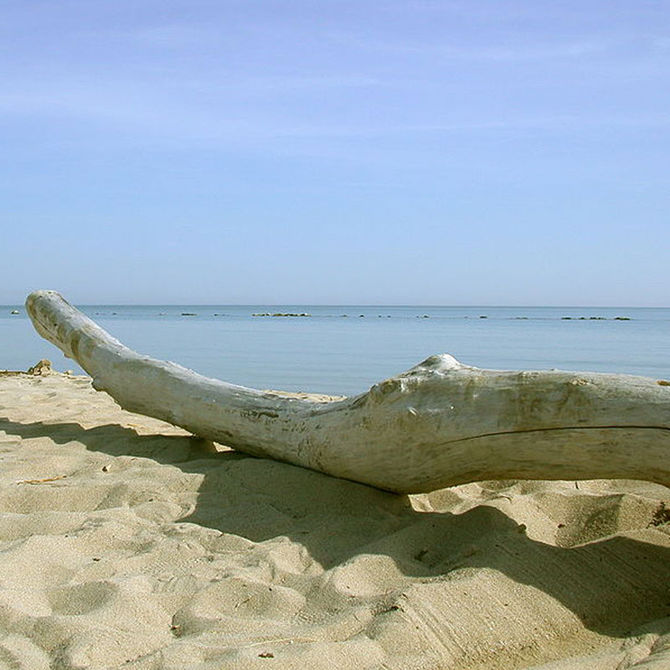 Petacciato