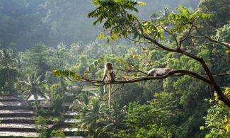 Bali e Lombok: 5 cose da sapere prima di partire